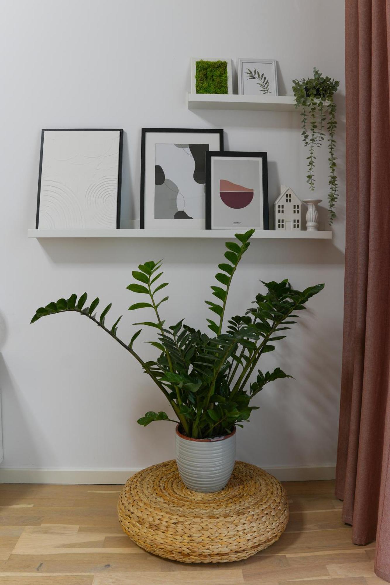 Amalia - Quiet 1Br Apartment With Parking & Wi-Fi Бухарест Екстер'єр фото